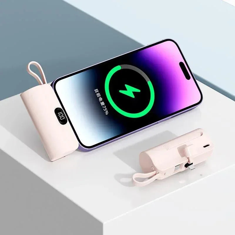 Purse Pod